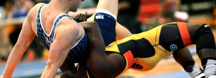 Rules of Freestyle Wrestling