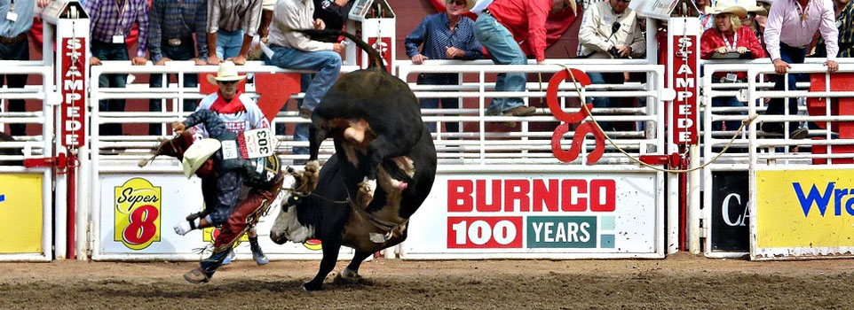 Rules of Bull Riding