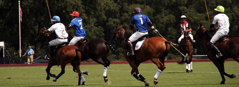 Rules of Polo
